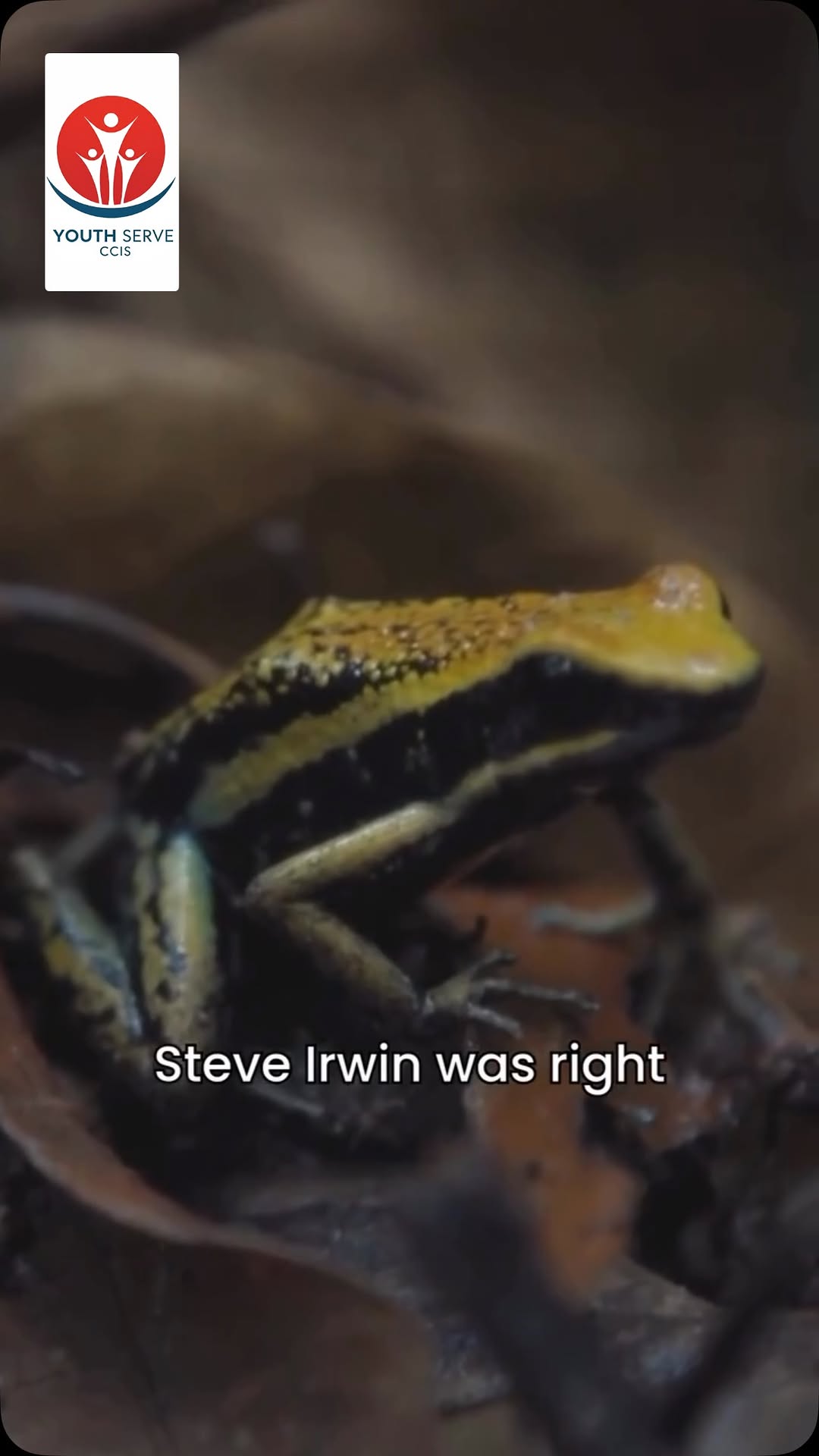 YouthServeCLE Get out and explore! Carry this spirit with you every day. #youthserveccis